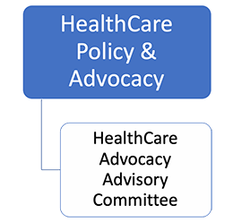 Health Care Policy & Advocacy Standing Committee