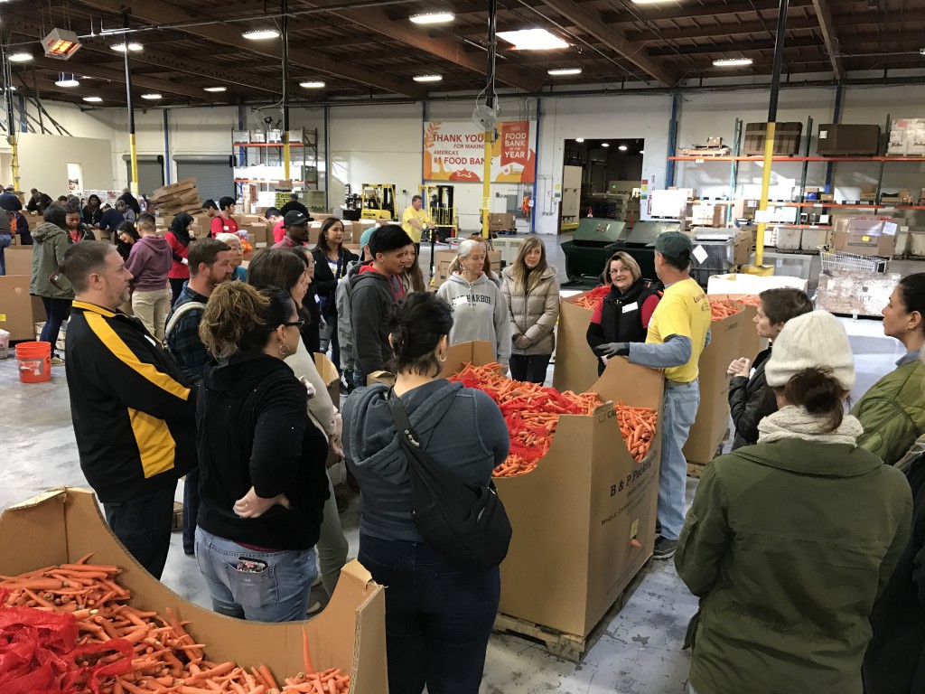 AVLS Staff Volunteer at Local Food Bank